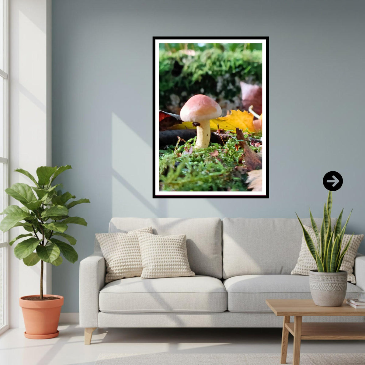 Two-Colored Bolete Fungi Print Art | Nature Photography, Woodland Decor, Forest Mushroom Poster, Mycology Wall Art, FSC Certified Print