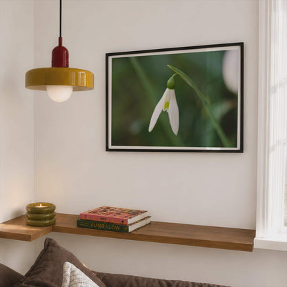 Snowdrop Flower Poster, Close Up Botanical Framed-Print, White Green Spring Floral Wall Art, Nature Photography Print, Galanthus Decor