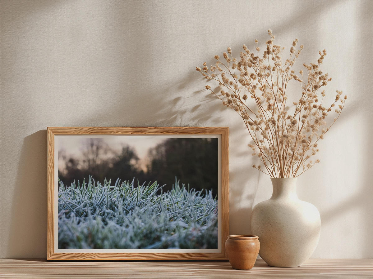 Frosty Grass Photography Poster, Winter Nature Framed-Print, Close-Up Frost Wall Art, Cold Morning Nature Print, Green and Blue Winter Decor