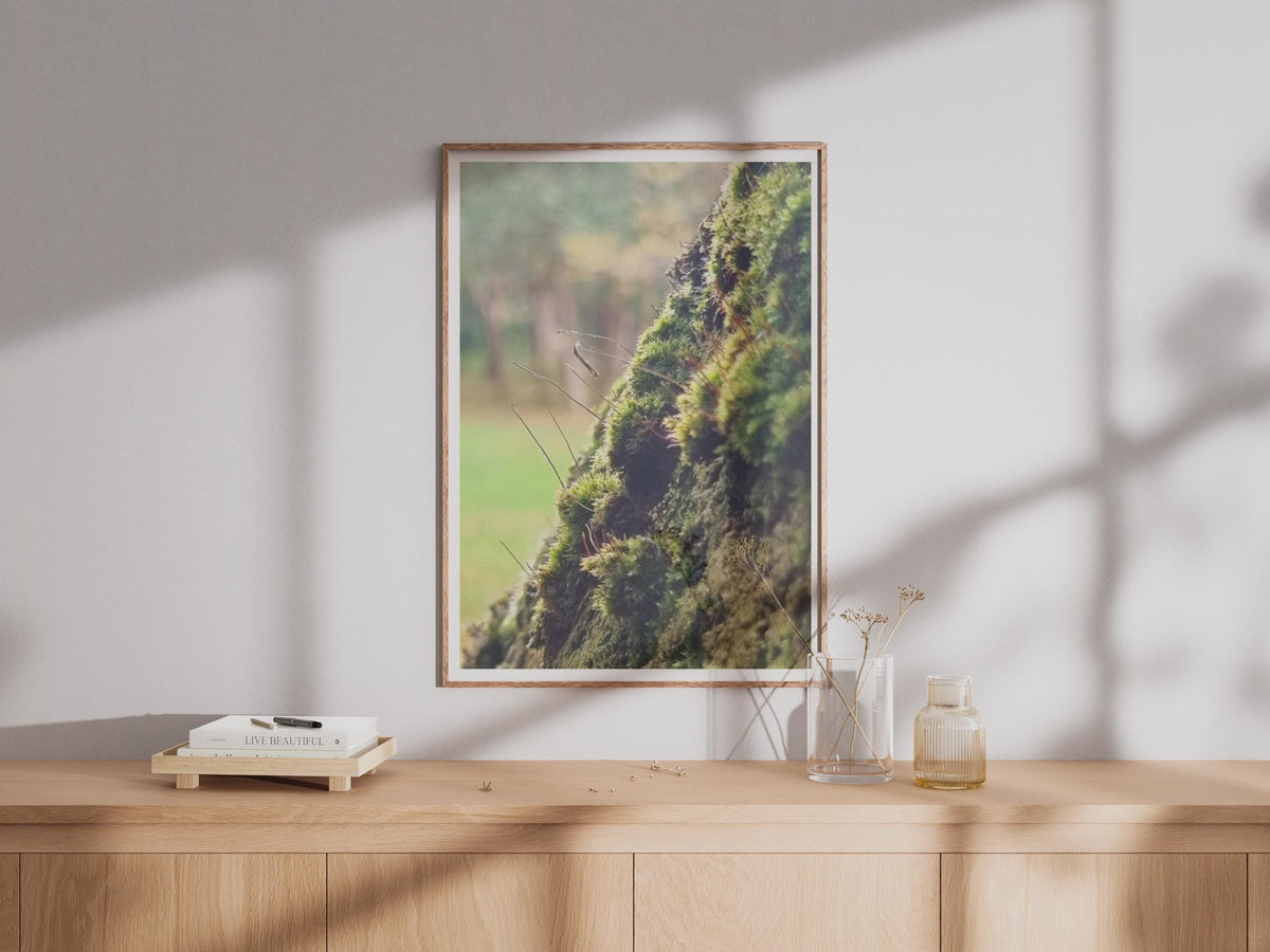 Mossy Tree Bark Nature Poster - image 4