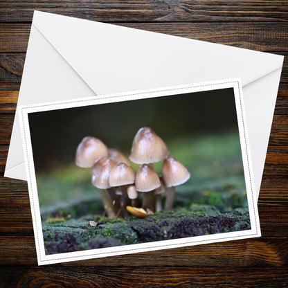 Glistening Inkcap Fungi Art Card | Woodland Botanical Print | Nature-Inspired Eco Stationery | Mushrooms Gift for Botanical Lovers