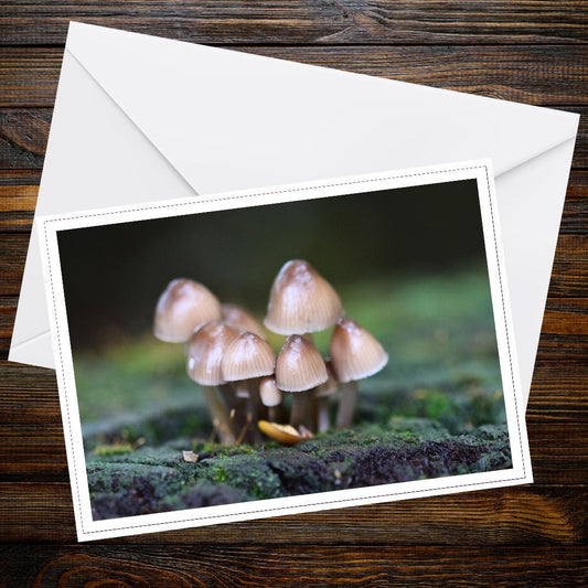 Glistening Inkcap Fungi Art Card | Woodland Botanical Print | Nature-Inspired Eco Stationery | Mushrooms Gift for Botanical Lovers