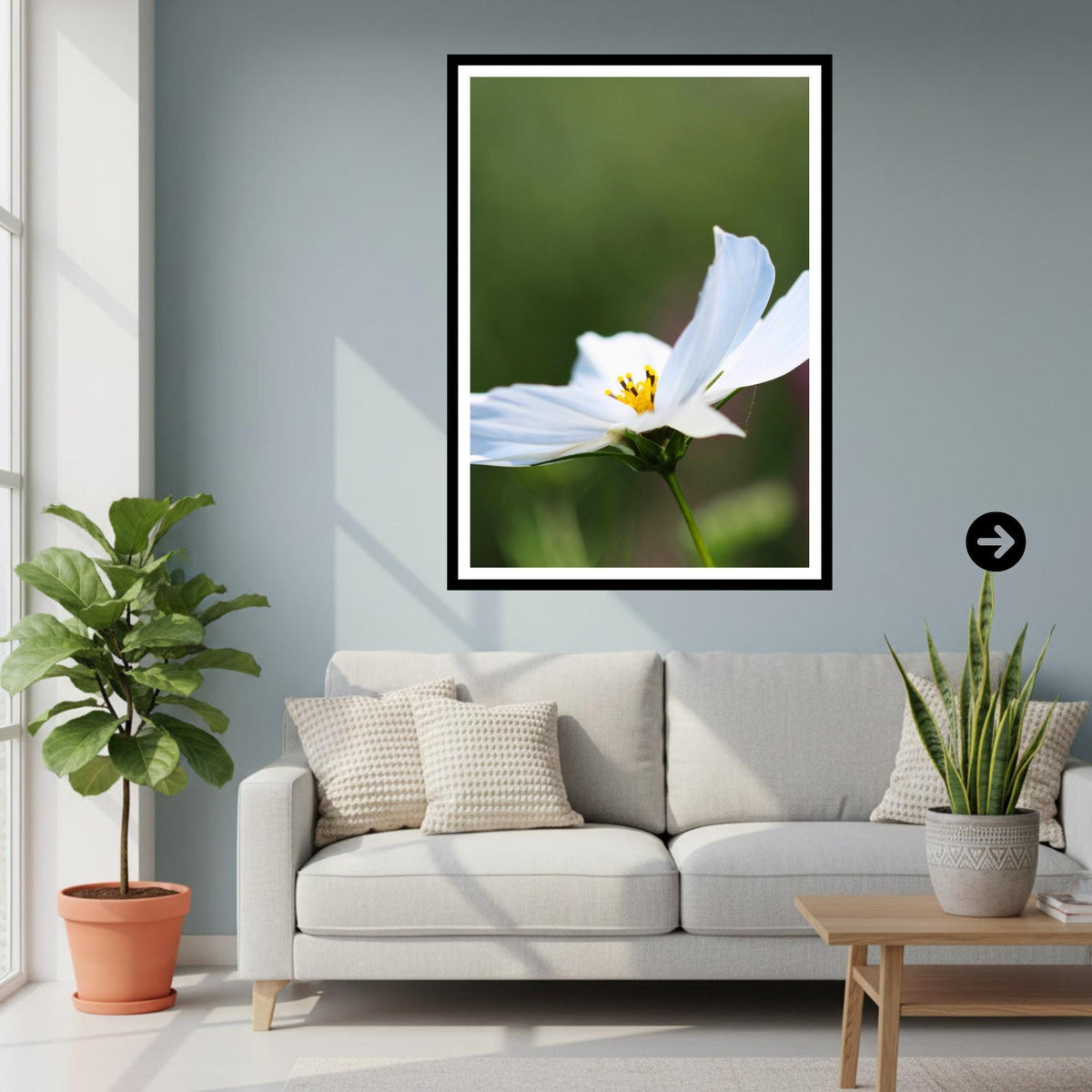 White Cosmos Flower Print, Minimalist Botanical Photography, Elegant Floral Decor