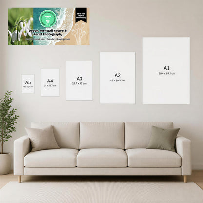 a beige sofa with a green throw pillow, and there are four framed prints of different sizes displayed on the wall above it.