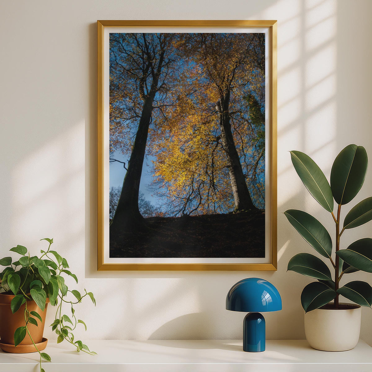 Autumn Trees Photography Poster - image 2
