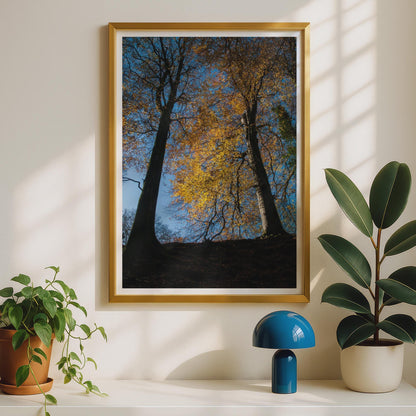Autumn Trees Photography Poster - image 2