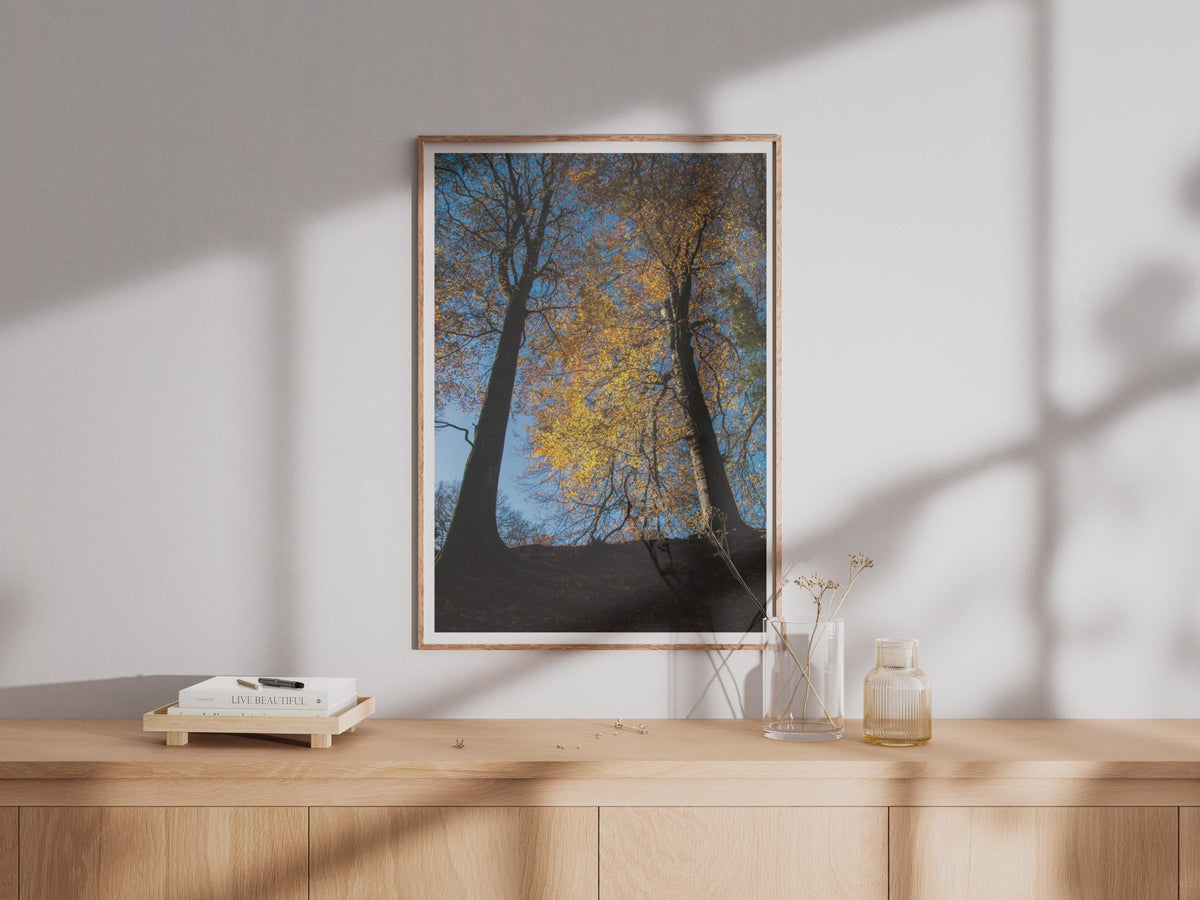 Autumn Trees Photography Poster - image 4