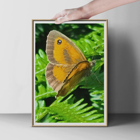 Gatekeeper Butterfly on Fern Poster, Orange Brown Wildlife Photography Print, Nature Wall Art, British Butterfly Photo Print for Home