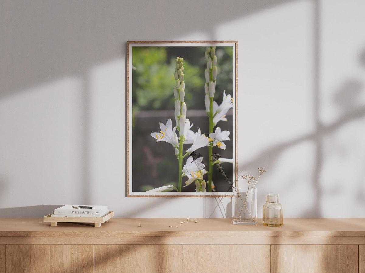 White Hosta Flower Spike Botanical Poster, Garden Floral Wall Art, Nature Photography Print, Green and White Bloom, Summer Garden Decor