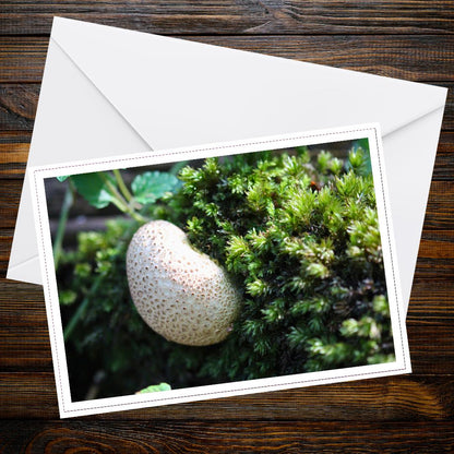 Pear-shaped puffball fungi greeting card | Woodland mushroom botanical photo | Eco-friendly handmade nature art print