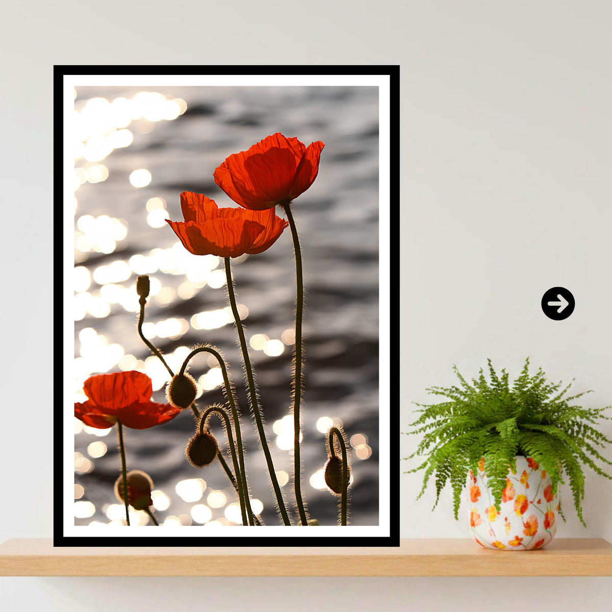 Red Poppy Sunset Botanical Print, Fine Art Nature Photography (Poppy Collection)