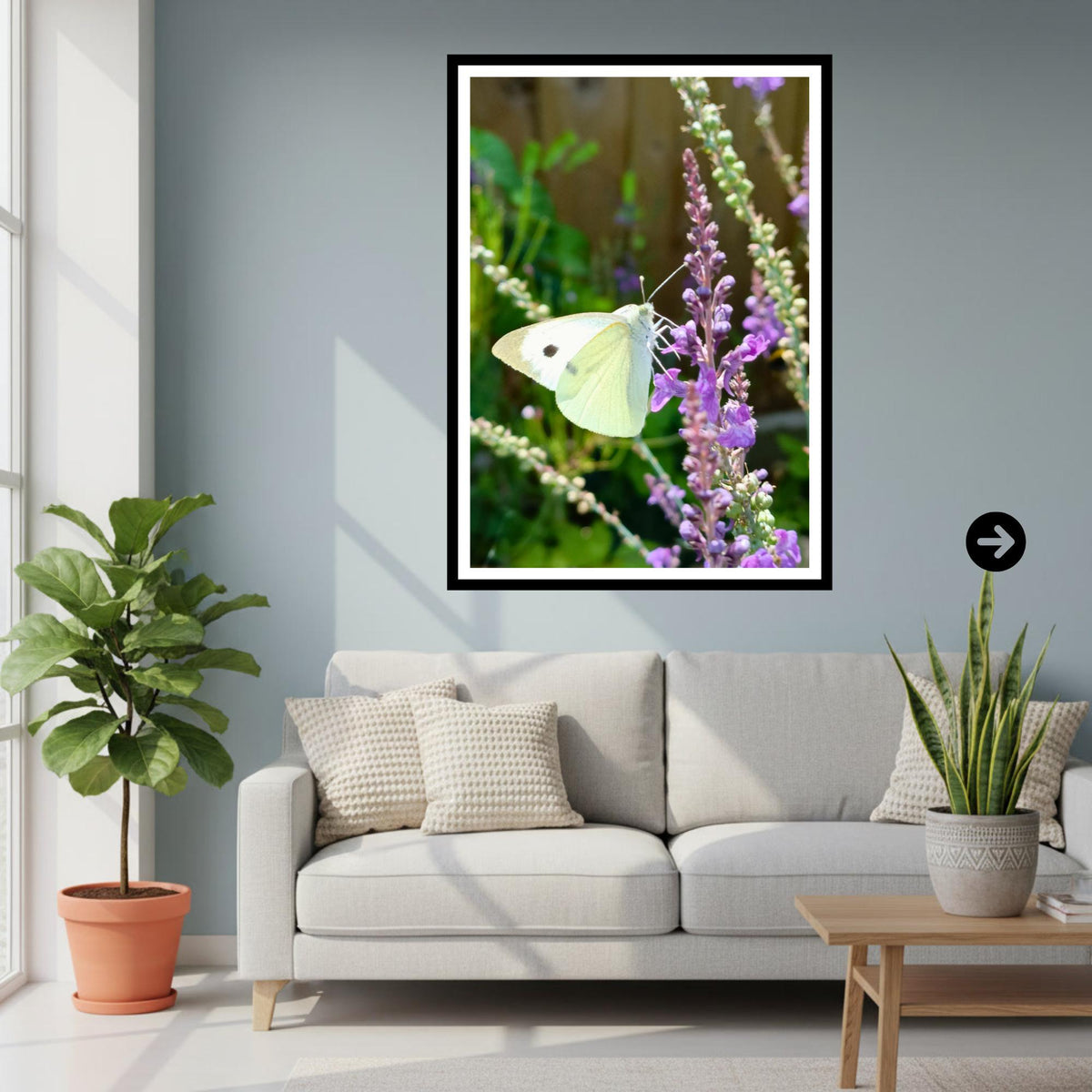 Cabbage White Butterfly Print | Wildlife Garden Photography Wall Art