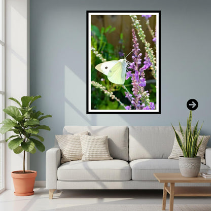 Cabbage White Butterfly Print | Wildlife Garden Photography Wall Art