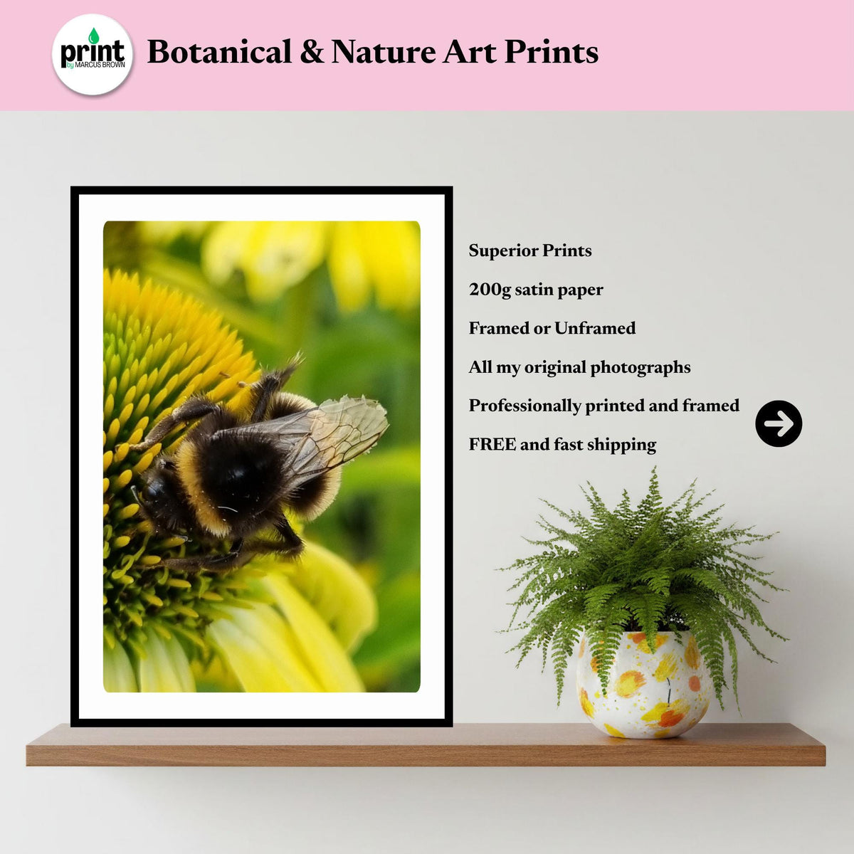 Macro Bumblebee Photography Print | Yellow Flower Botanical Nature Decor