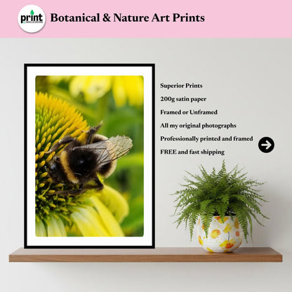 Macro Bumblebee Photography Print | Yellow Flower Botanical Nature Decor