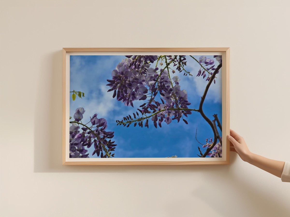 Wisteria Flower Poster, Purple Blue Sky Floral Wall Art, Botanical Framed-Print, Spring Garden Photography Print, Nature Home Decor