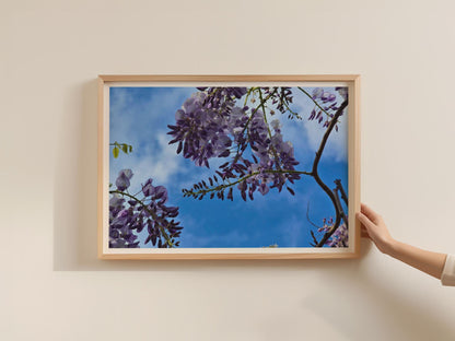 Wisteria Flower Poster, Purple Blue Sky Floral Wall Art, Botanical Framed-Print, Spring Garden Photography Print, Nature Home Decor