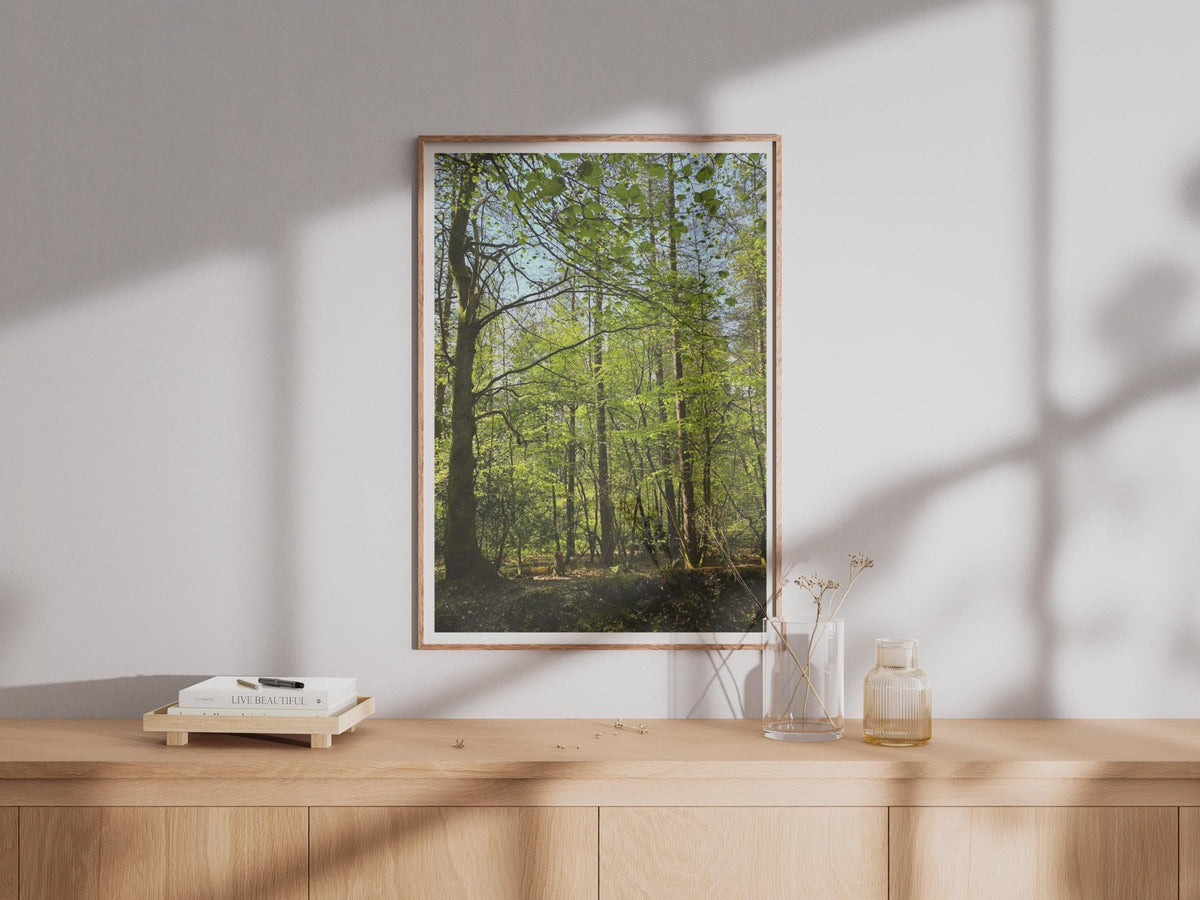 Sunlit Forest Poster - image 4