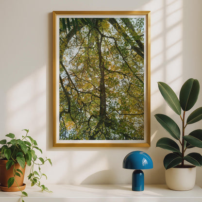 Tree Canopy Photography Poster - image 2