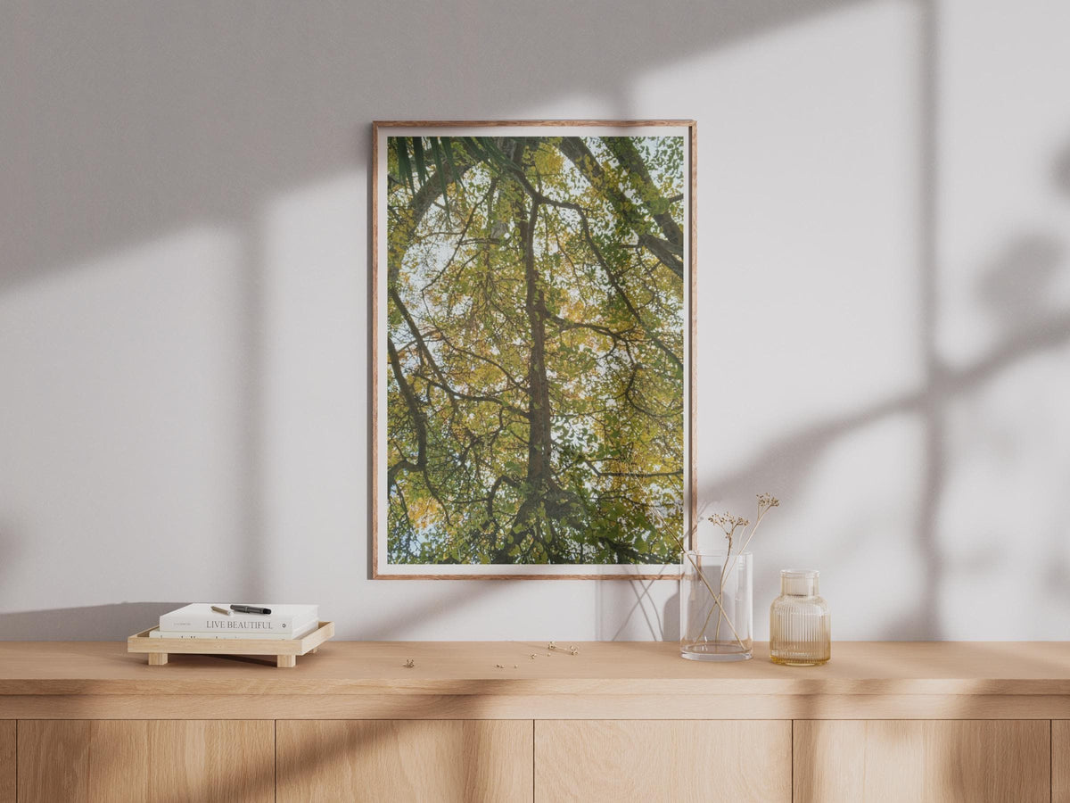 Tree Canopy Photography Poster - image 4