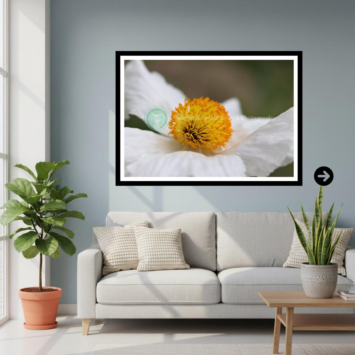 White Poppy Flower Print | Botanical Macro Wall Art