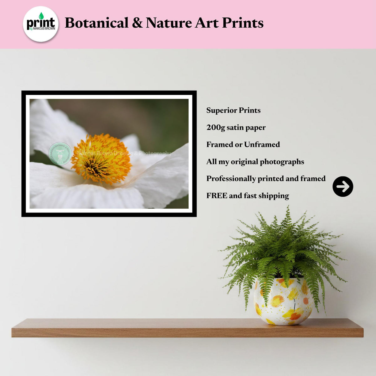 White Poppy Flower Print | Botanical Macro Wall Art