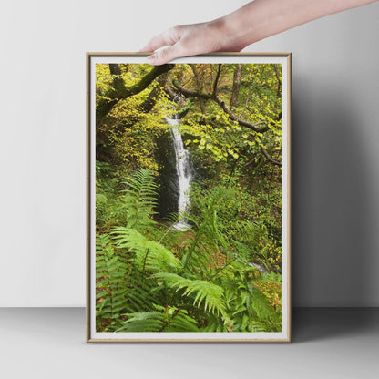 Woodland Waterfall Poster, Autumn Forest Nature Print, Green Fern Wall Art, British Countryside Photography, Rustic Nature Lover Gift Print