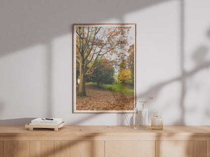 Autumn Trees Photography Print - image 4