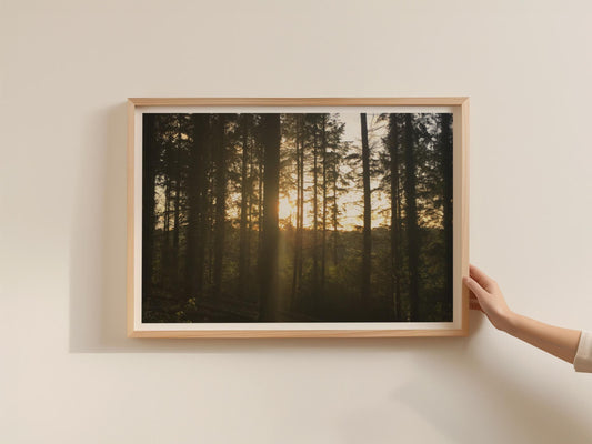 Forest Sunrise Poster, Golden Light Through Trees Framed-Print, Woodland Landscape Wall Art, Nature Photography, Dawn Dusk Home Decor