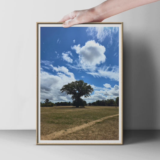 Lone Tree Landscape Photography Print, Summer Parkland Poster, Blue Sky White Clouds Nature Wall Art, English Countryside Photo Print