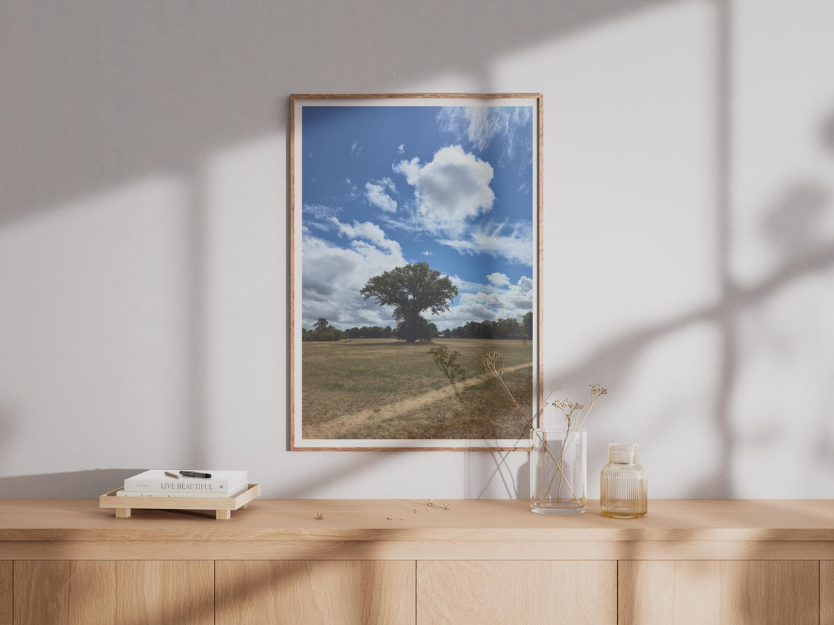 Lone Tree Landscape Photography Print - image 4