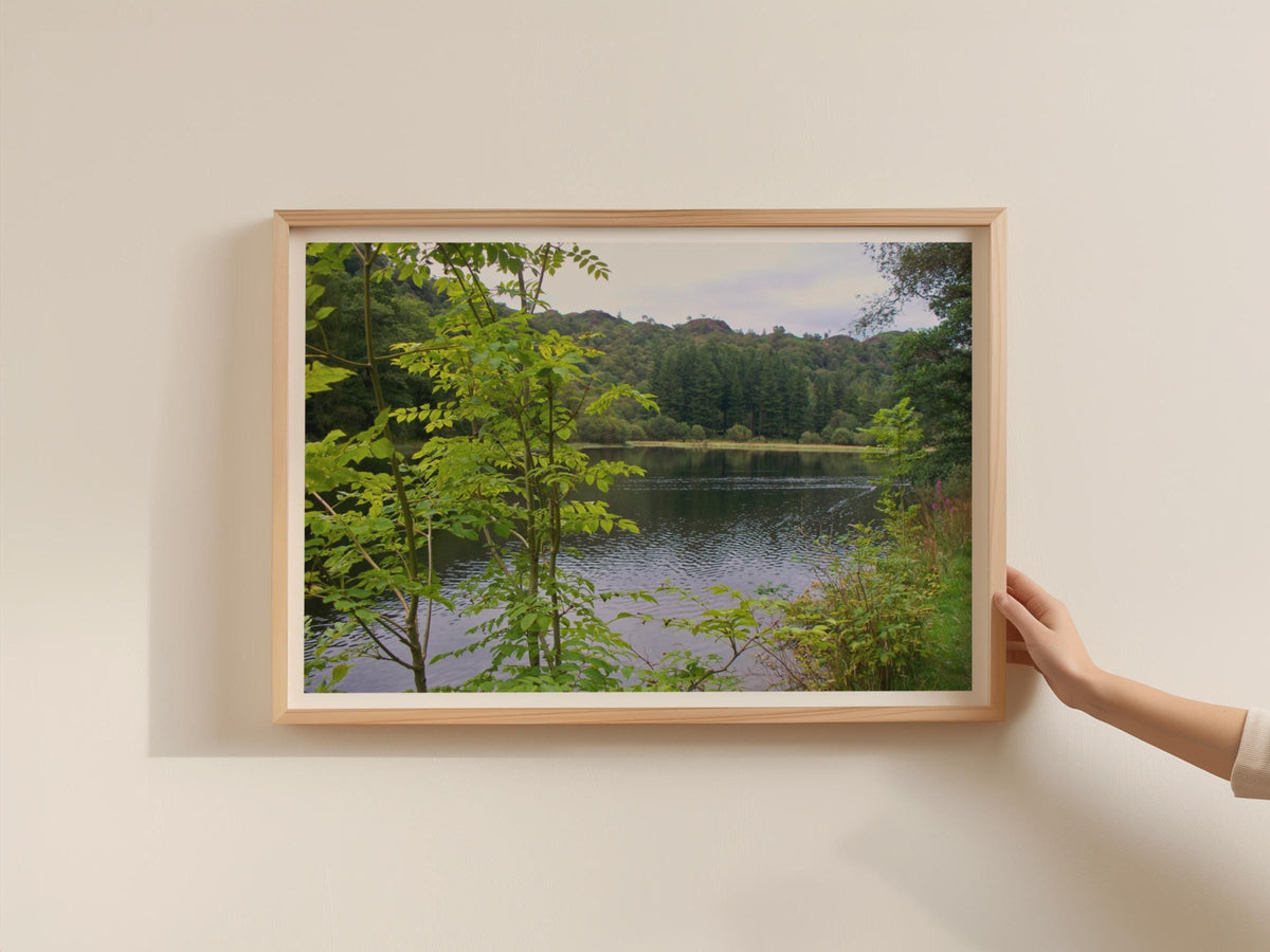 Lake District Trees Landscape Poster, Woodland Tarn Framed-Print, Green Forest Wall Art, British Nature Photography Print, Countryside Decor