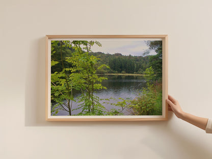 Lake District Trees Landscape Poster, Woodland Tarn Framed-Print, Green Forest Wall Art, British Nature Photography Print, Countryside Decor