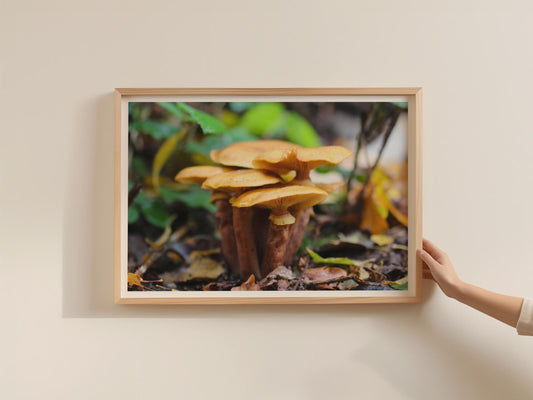 Woodland Fungi Poster, Autumn Mushroom Photography Print, Framed-Print, Forest Floor Nature Wall Art, Earthy Orange Brown Botanical Decor