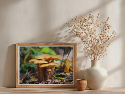 Woodland Fungi Poster mockup - Neutral_Mockup_Studio_509