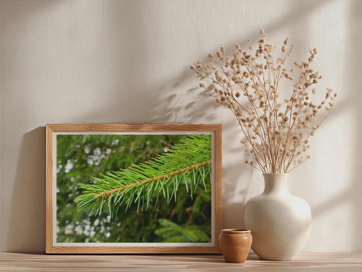 Pine Branch Close Up Poster, Evergreen Tree Framed-Print, Green Forest Wall Art, Nature Macro Photography, Botanical Forest Decor