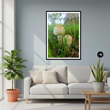 Green-spored Parasol Fungi Print Art, Fungi Collection, Woodland Decor, Botanical Photography, Nature Wall Art, FSC Certified Archival Print