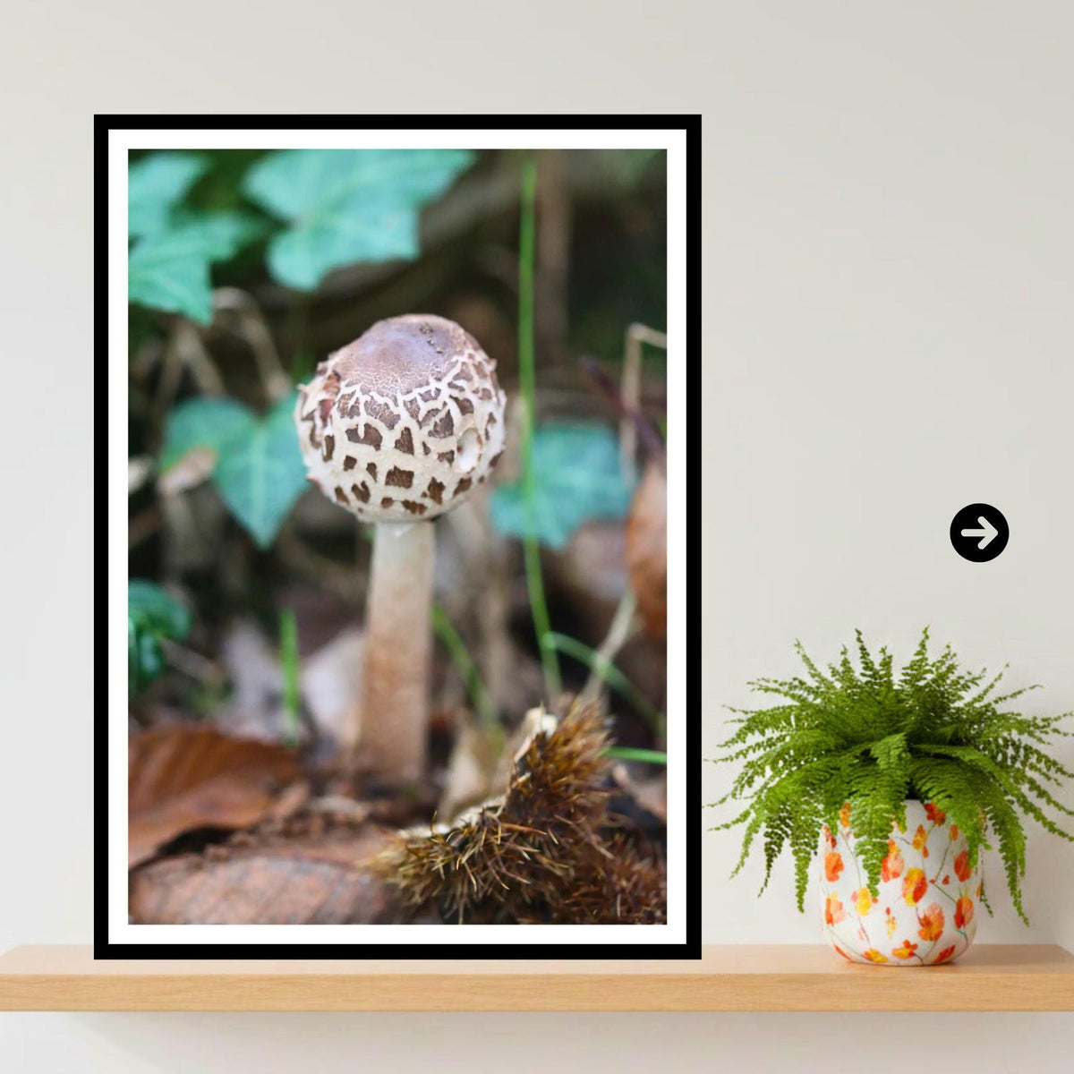 Shaggy Scalycap Mushroom Print, Fungi Art, Nature Photography, Woodland Decor, Botanical Wall Art, FSC Certified, Unique Gift, Mycology