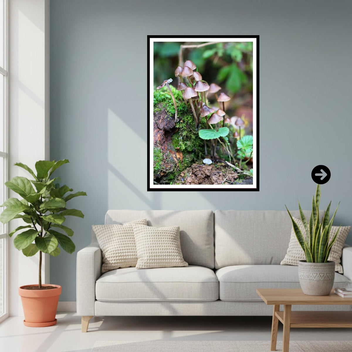 Fairy Inkcap Fungi Print Art, Mushroom Nature Photography, Woodland Decor, Botanical & Fungi Collection, Archival FSC Certified Print