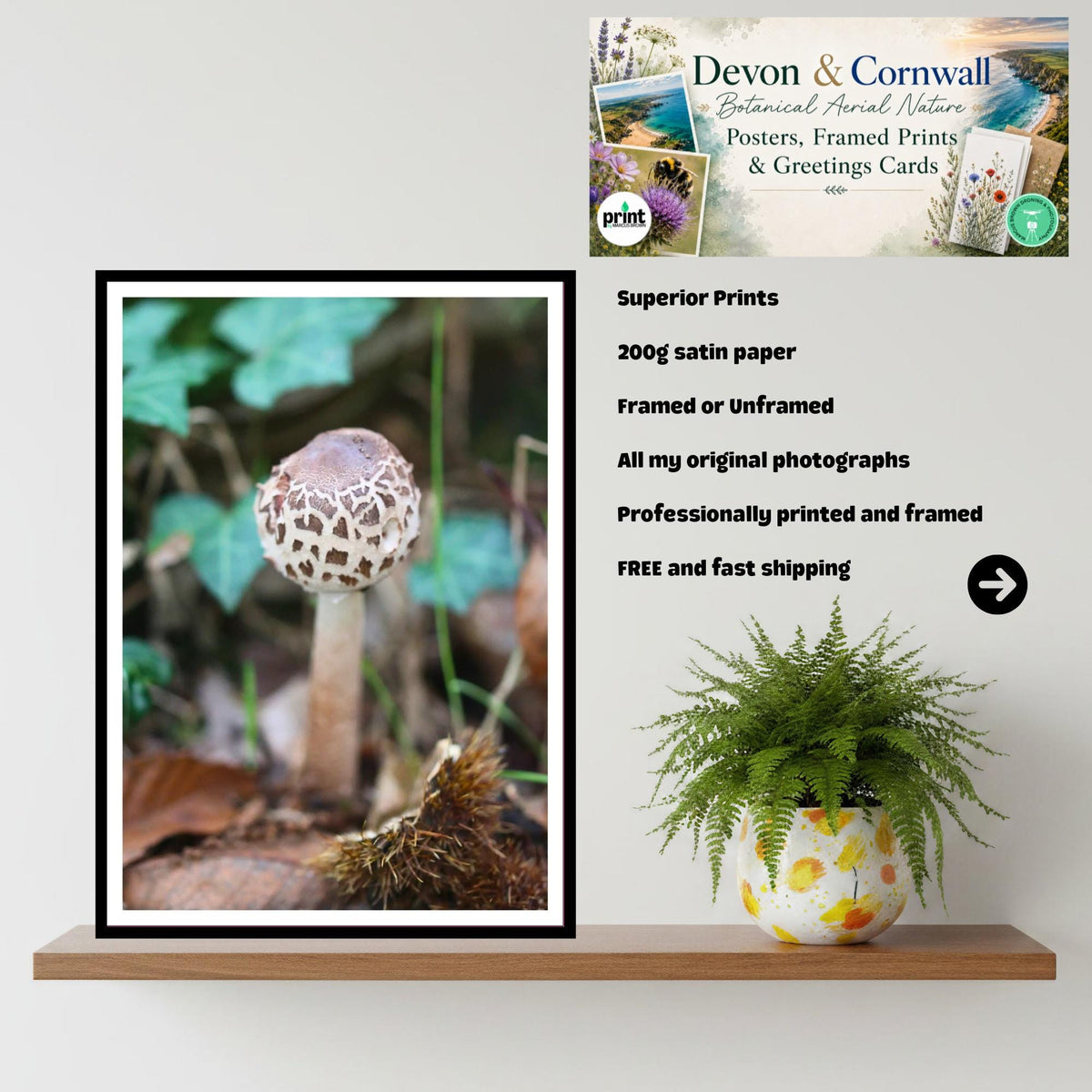 Shaggy Scalycap Mushroom Print, Fungi Art, Nature Photography, Woodland Decor, Botanical Wall Art, FSC Certified, Unique Gift, Mycology
