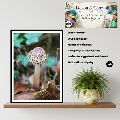 Shaggy Scalycap Mushroom Print, Fungi Art, Nature Photography, Woodland Decor, Botanical Wall Art, FSC Certified, Unique Gift, Mycology