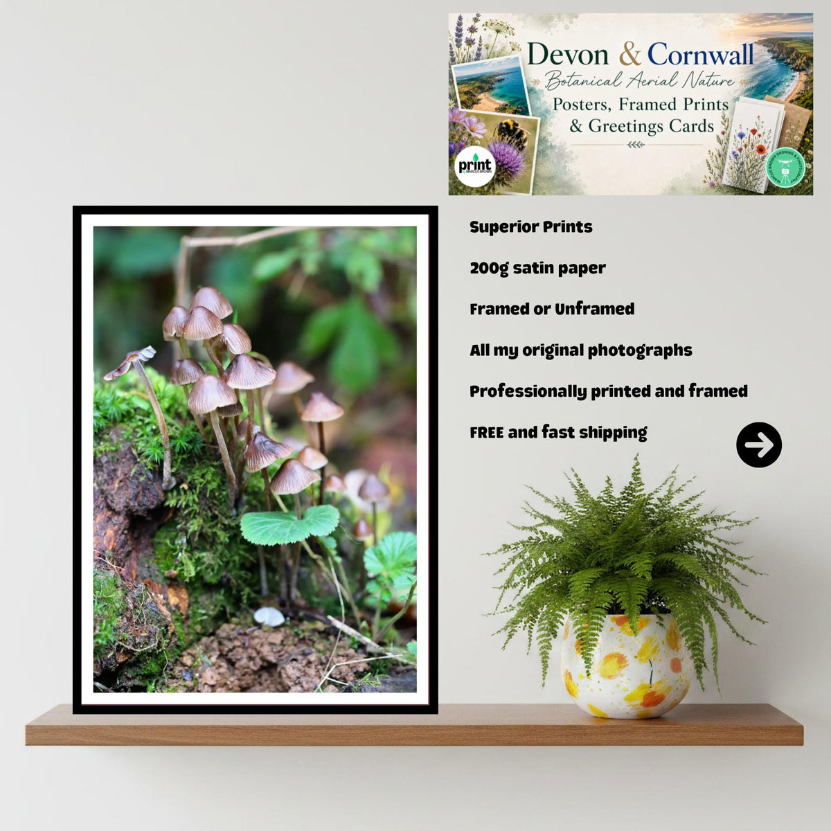 Fairy Inkcap Fungi Print Art, Mushroom Nature Photography, Woodland Decor, Botanical & Fungi Collection, Archival FSC Certified Print