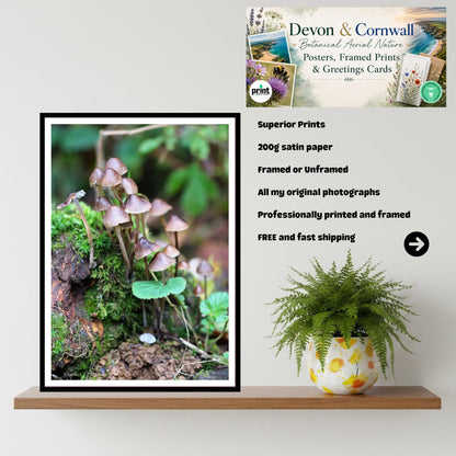 Fairy Inkcap Fungi Print Art, Mushroom Nature Photography, Woodland Decor, Botanical & Fungi Collection, Archival FSC Certified Print