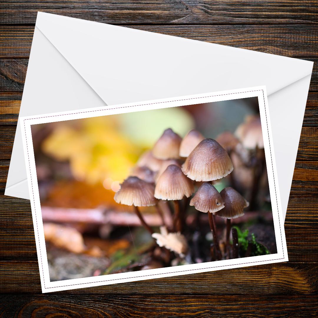 Mushroom Art Card, Woodland Gift Idea, Botanical Print Card, Nature Inspired Gift, Eco Stationery, Forest Flora Art, Whimsical Nature, Fungi