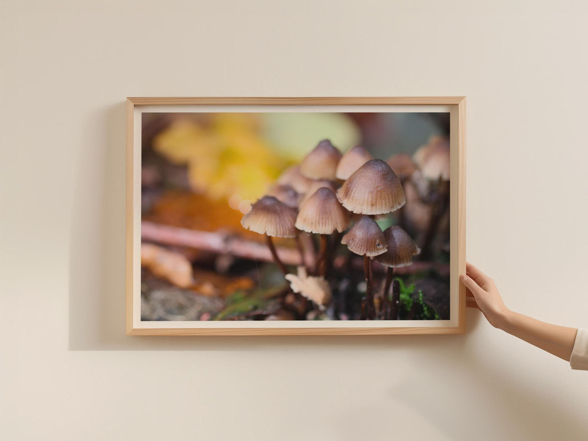 Fungi Mushroom Poster, Autumn Forest Floor Framed Print, Nature Photography Wall Art, Woodland Botanical Decor, Brown Toadstool Print