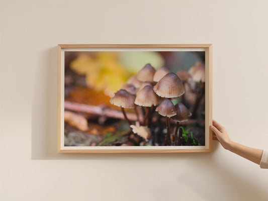 Fungi Mushroom Poster, Autumn Forest Floor Framed Print, Nature Photography Wall Art, Woodland Botanical Decor, Brown Toadstool Print