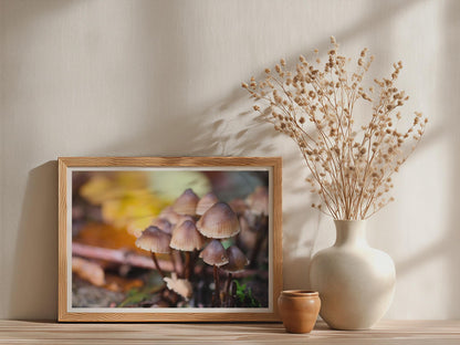 Fungi Mushroom Poster mockup - Neutral_Mockup_Studio_509