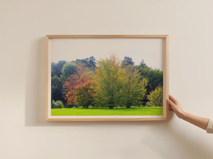 Autumn Trees Landscape Poster, Woodland Framed-Print, Fall Foliage Wall Art, Red Green Forest Nature Print, Countryside Home Decor Gift