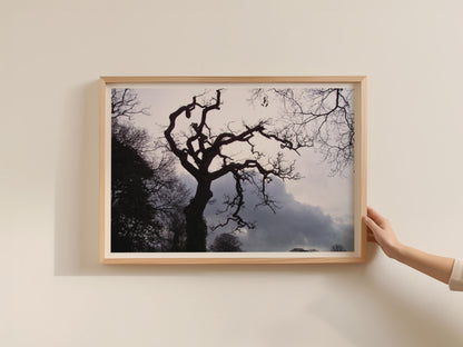 Twisted Bare Tree Silhouette Poster, Dark Moody Landscape Framed-Print, Gothic Nature Wall Art, Stormy Sky Photography Print