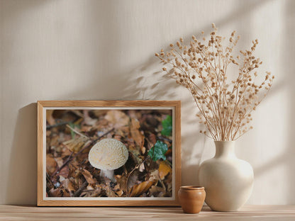 Woodland Fungi Poster mockup - Neutral_Mockup_Studio_509